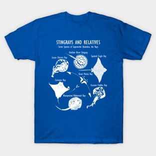 Stingray Species: Manta Ray, River Stingray, and More (in white) T-Shirt